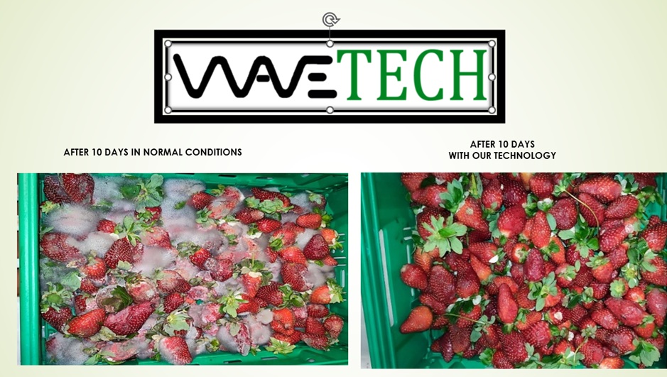 Successful Plasma Technology Tests Demonstrate Significant Increase in Fruit Shelf Life